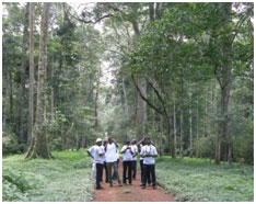 Busingiyo