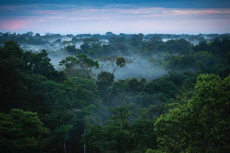 A well maintained Echuya Central Forest Reserve