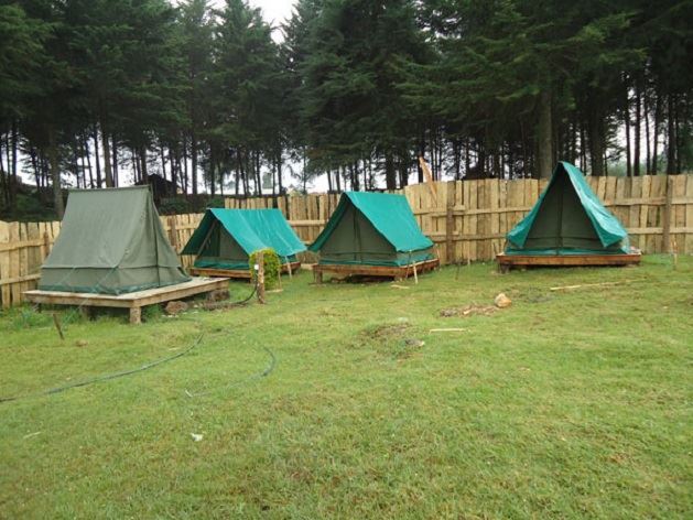 Camping site in Echuya Central Forest Reserve