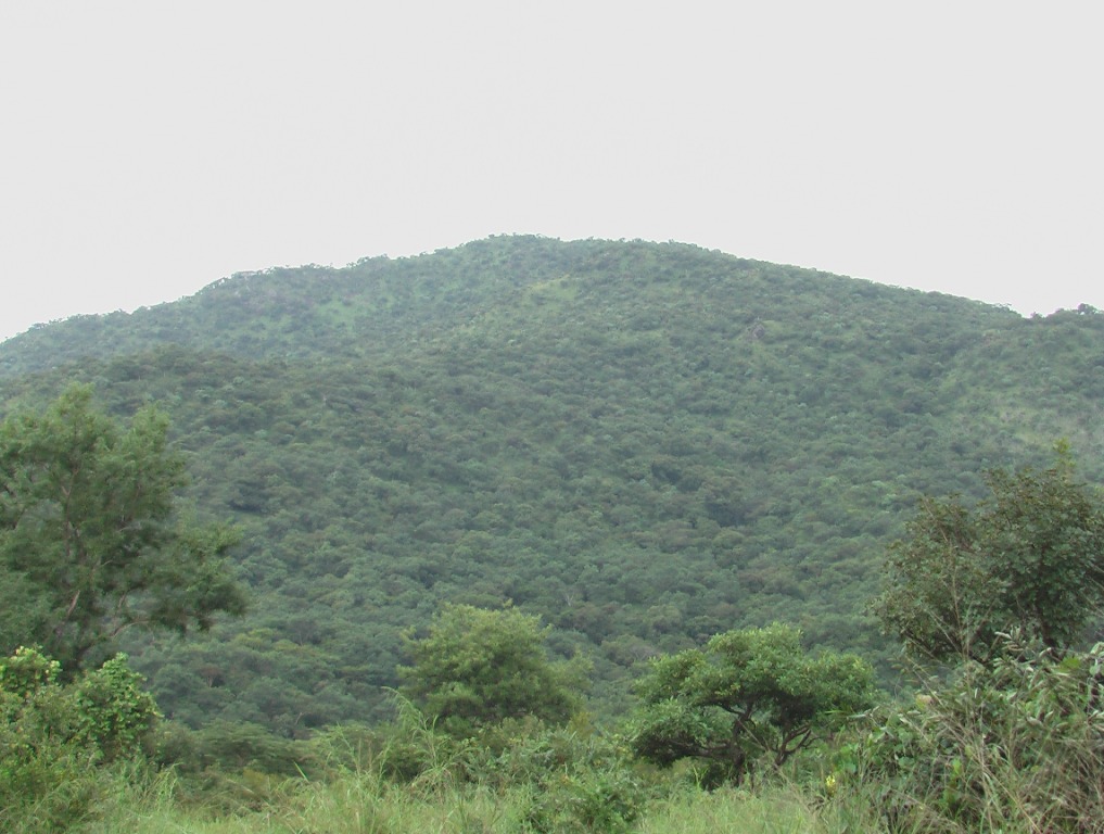 Nature reserve
