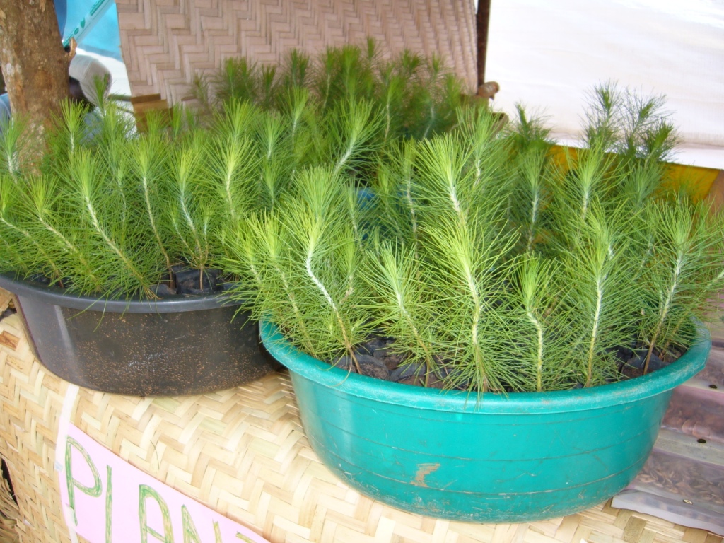Trade show and World Food Day 2007