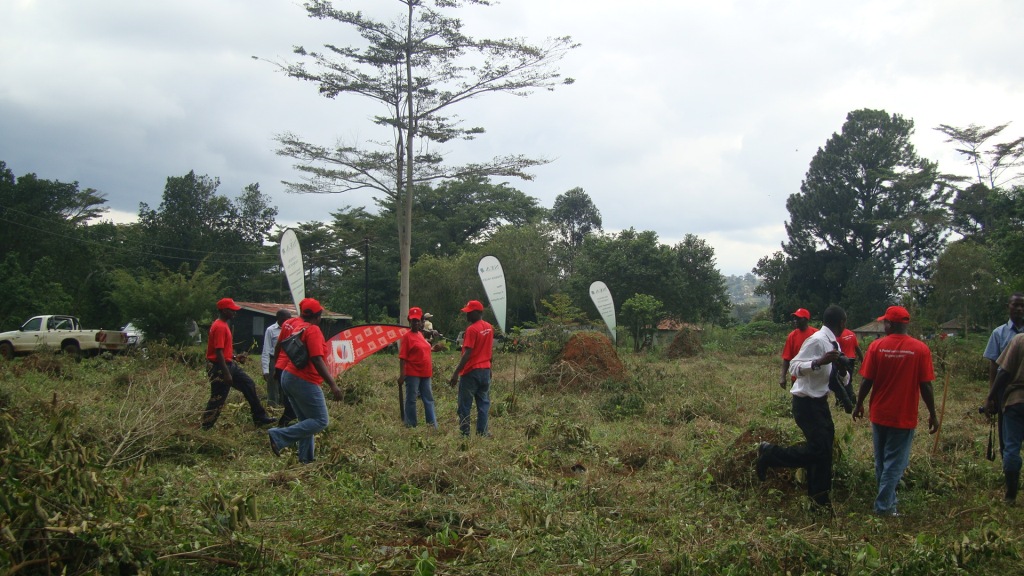 Tree Planting