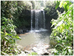 Kasyoha
